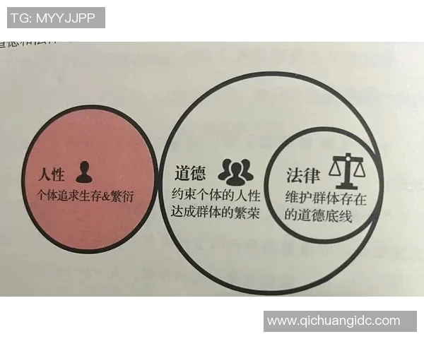 坦珀利与防御正义的较量揭示法律与道德的深刻冲突与思考 坦珀利与防御正义的较量揭示法律与道德的深刻冲突与思考