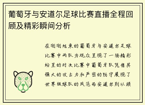 葡萄牙与安道尔足球比赛直播全程回顾及精彩瞬间分析