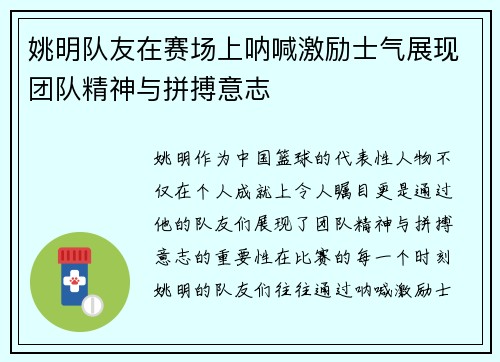 姚明队友在赛场上呐喊激励士气展现团队精神与拼搏意志